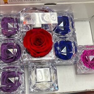 Colorful Preserved Roses in Crystal Boxes